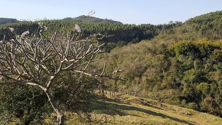 Sitio Alvorada - Paraiso Localizado No Circuito Das Aguas Paulista Amparo  Zewnętrze zdjęcie